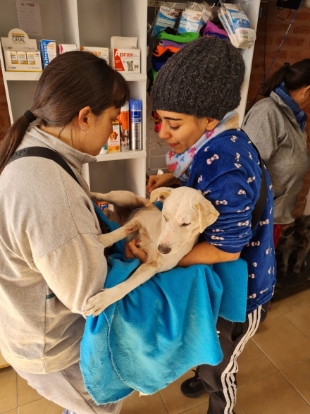 yanel con perro.jpg