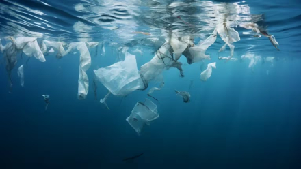 oceanos basura.jpg
