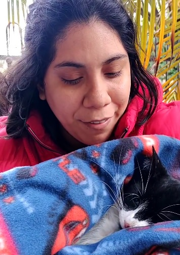 gatita.jpg