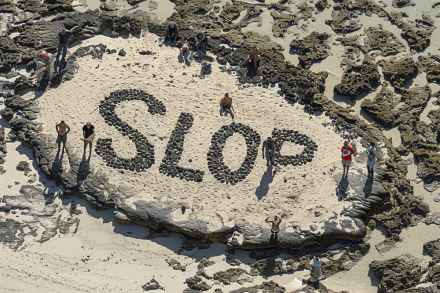 slop.jpg
