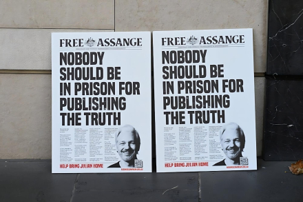 Assange1-transformed (1).jpeg