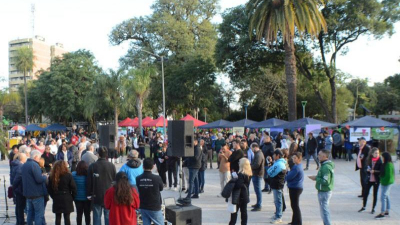 Lucha contra las adicciones: "Hay un auge de la ciberludopatía"