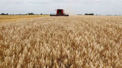 Por la recuperación del agro, la actividad económica creció 2,3% en mayo
