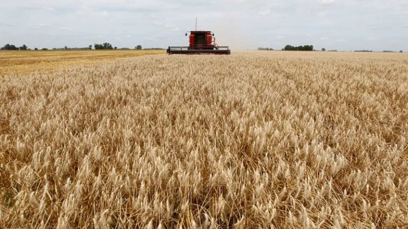 Por la recuperación del agro, la actividad económica creció 2,3% en mayo