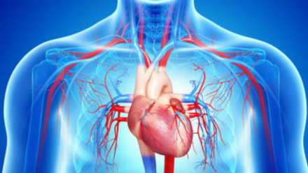 subita.jpg