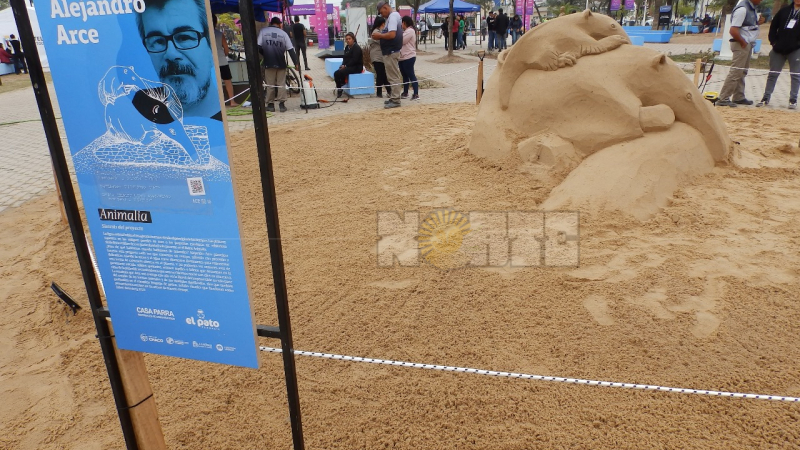 La magia del arte en arena llega a la Bienal del Impenetrable 2024