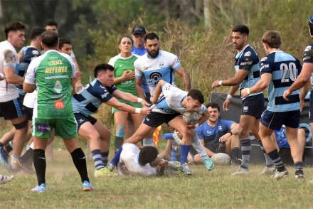 rugby.jpg