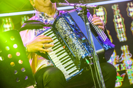 palmeras5.jpg