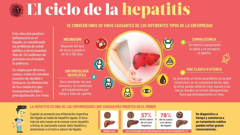 Hepatitis: hay unos 6000 contagiados por día