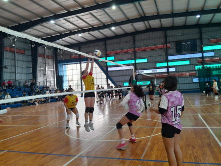 img-20240821-wa0028-66c6258337d30125608518.jpg