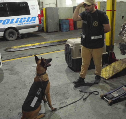 narco4.jpg