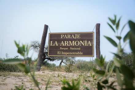 Liberación de Nalá en el Parque Nacional El Impenetrable - 9.jpeg