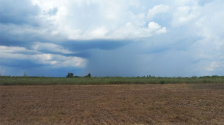 lanina.jpg