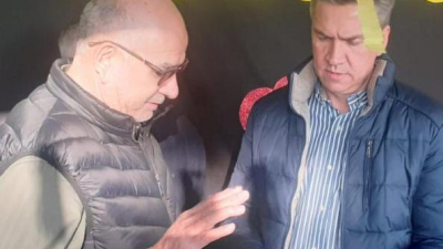 Desmontes: la cadena forestoindustrial pide al gobierno que plantee medida anticautelar