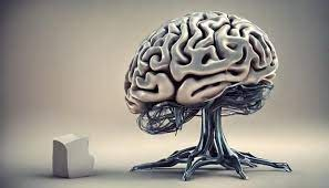 cerebro.jpg