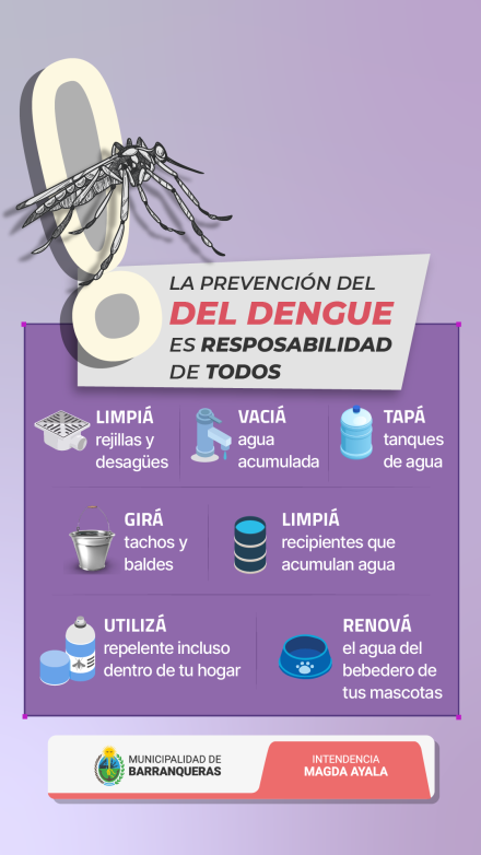 Prevención del Dengue - Historia.png