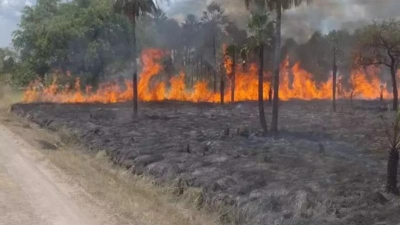 El Chaco en peligro por posibles incendios a causa del calor y la sequía