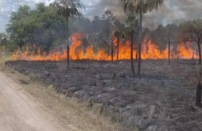 El Chaco en peligro por posibles incendios a causa del calor y la sequía