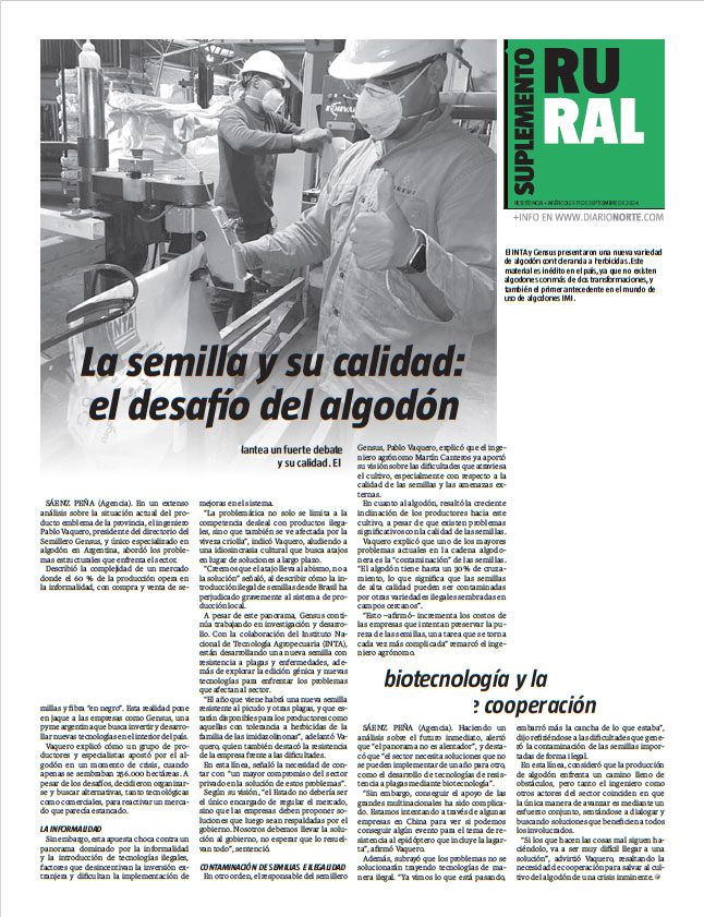 La semilla y su calidad: el desafío del algodón