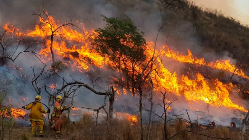 Incendios: la oposición aprobó en el Senado la emergencia ambiental en Córdoba por 180 días
