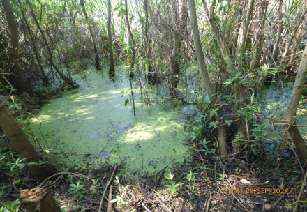 BIODIVERSIDAD5.jpg