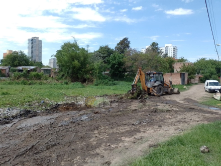 vallejos.jpg