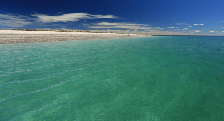 playa perdices.jpg