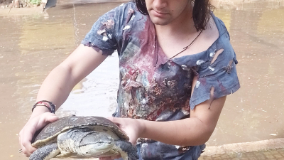 Tras la lluvia, una tortuga acuática apareció nadando en el microcentro