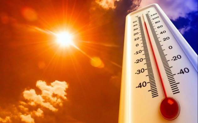 año caluroso temperatura.jpg