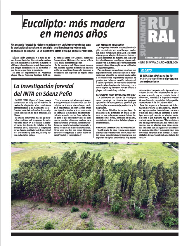 Eucalipto: más madera en menos años