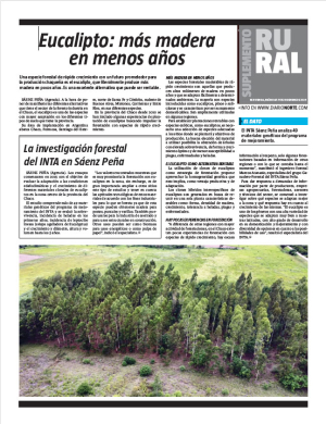 Eucalipto: más madera en menos años