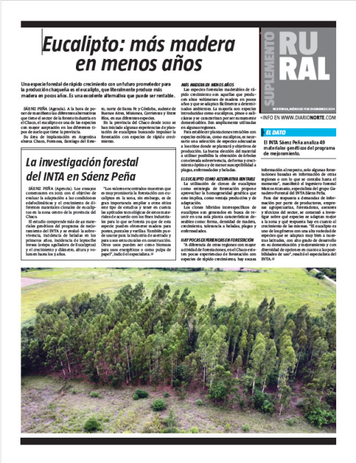 Eucalipto: más madera en menos años