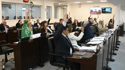 Legislativas 2025: posturas diversas ante la convocatoria para el 11 de mayo