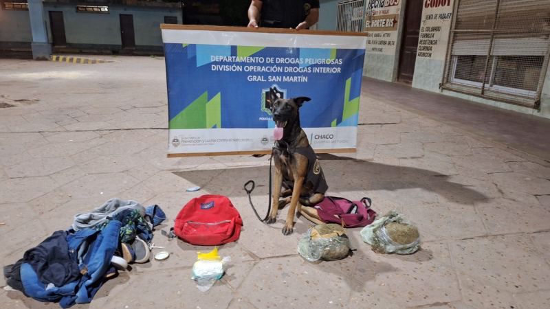 Lara detectó casi medio kilo de cocaína y más de dos kilos de marihuana: un detenido