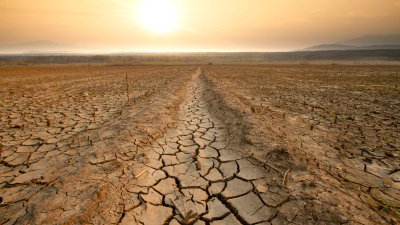Desertificación y sequía, grandes retos de este siglo