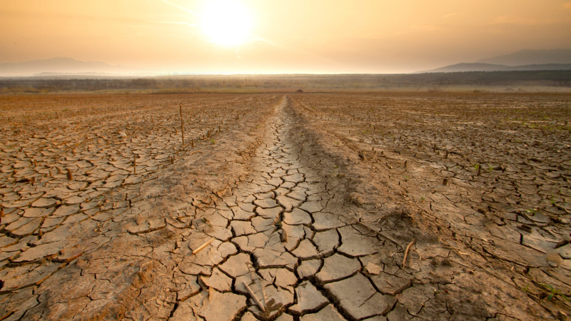 Desertificación y sequía, grandes retos de este siglo