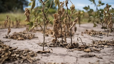 El agro está entrando en crisis; todos vaticinan que será grave