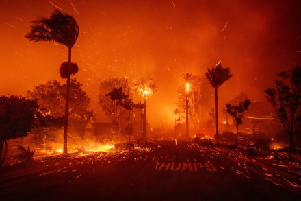 fires LA 02.jpg