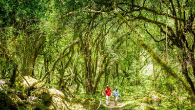 El paisaje tropical que sorprende en pleno Noroeste argentino