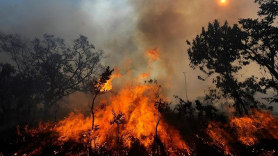 El Piroceno: la era de los incendios forestales
