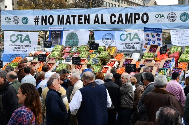 campo.jpg