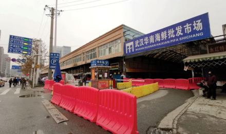 wuhan 02.jpg