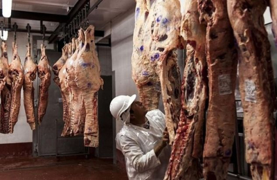 Frigoríficos más complicados con la quita de retenciones
