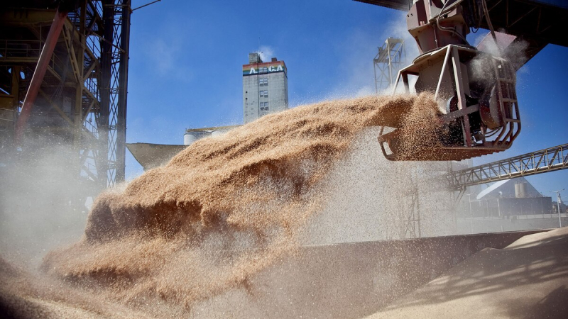 El ingreso de divisas de la agroindustria subió 36% en enero y ayudó a acumular reservas