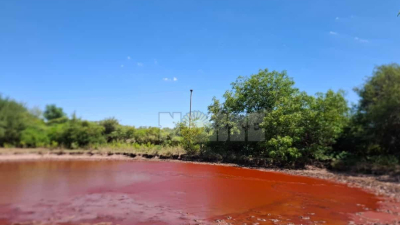 Una laguna amaneció teñida de rojo en una zona rural de Taco Pozo