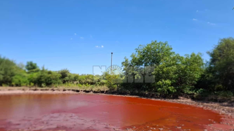 Una laguna amaneció teñida de rojo en una zona rural de Taco Pozo