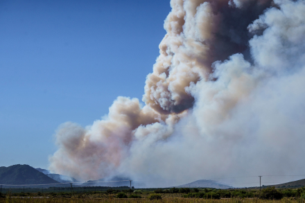 Incendios06.jpg