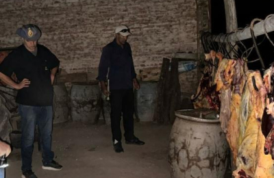 Carnearon una vaca ajena para festejar un cumpleaños de 15
