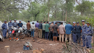 Policía Rural detiene a 13 personas y secuestra material por tala ilegal de madera