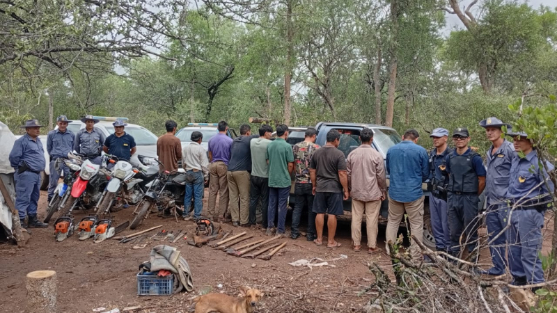 Policía Rural detiene a 13 personas y secuestra material por tala ilegal de madera